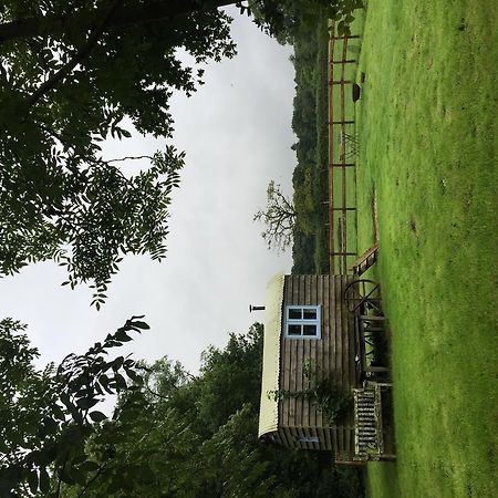 Mollies Hut Villa Frome Kültér fotó