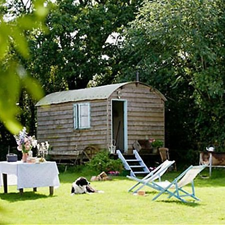 Mollies Hut Villa Frome Kültér fotó