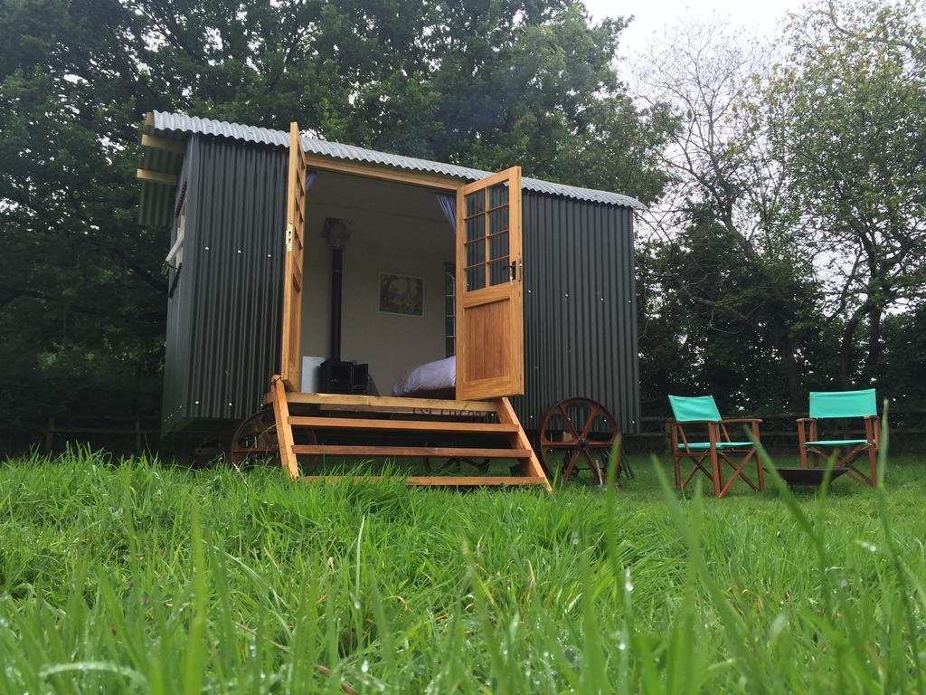 Mollies Hut Villa Frome Kültér fotó